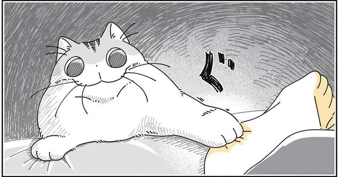 これは理不尽...⁉ 猫は、飼い主のコレを許さない／夜は猫といっしょ8（1）