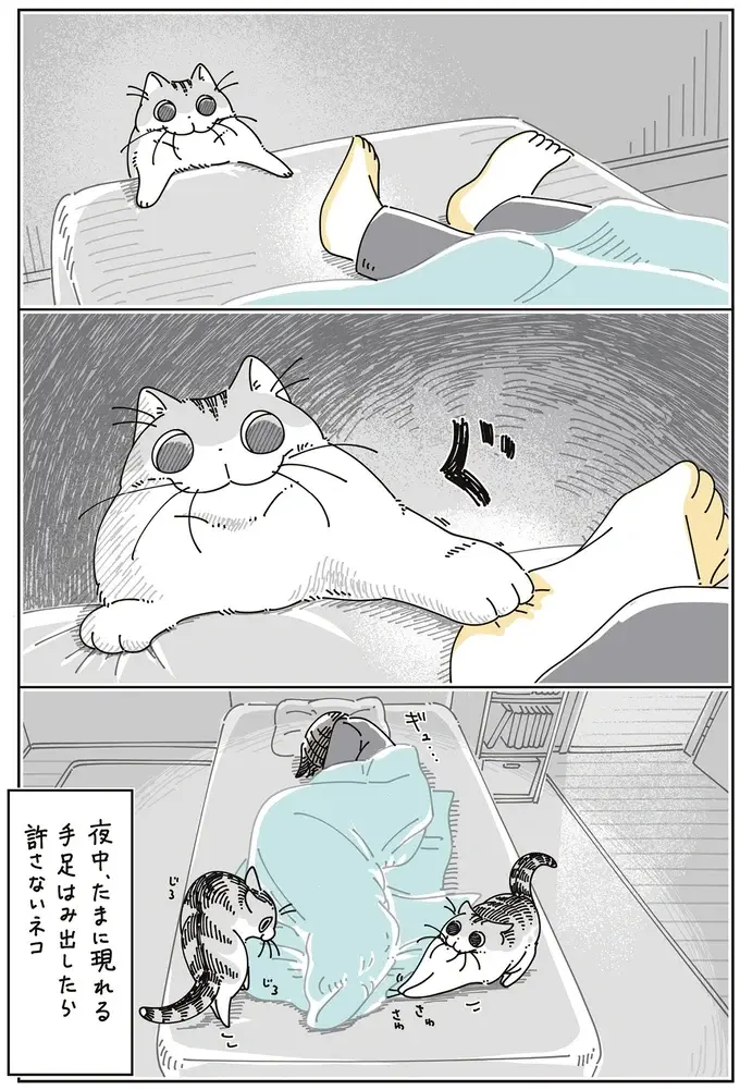 これは理不尽...⁉ 猫は、飼い主のコレを許さない／夜は猫といっしょ8（5）