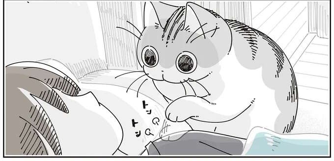 朝の猫。飼い主をトントン...可愛くて寝たふりを続けていたら...え？／夜は猫といっしょ8（1）