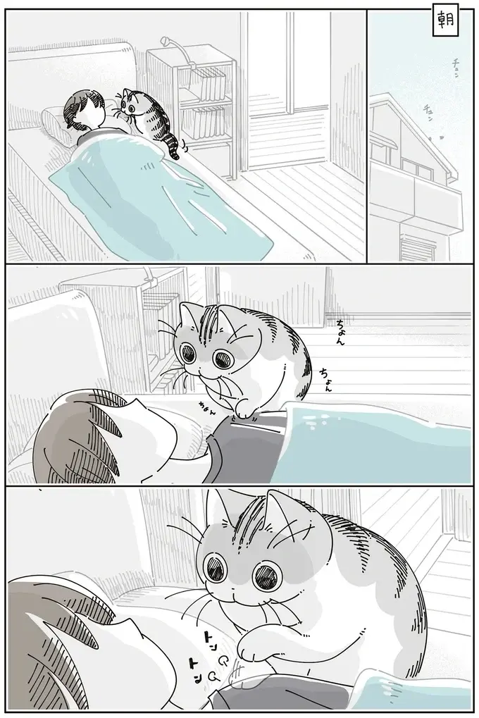 朝の猫。飼い主をトントン...可愛くて寝たふりを続けていたら...え？／夜は猫といっしょ8（3）