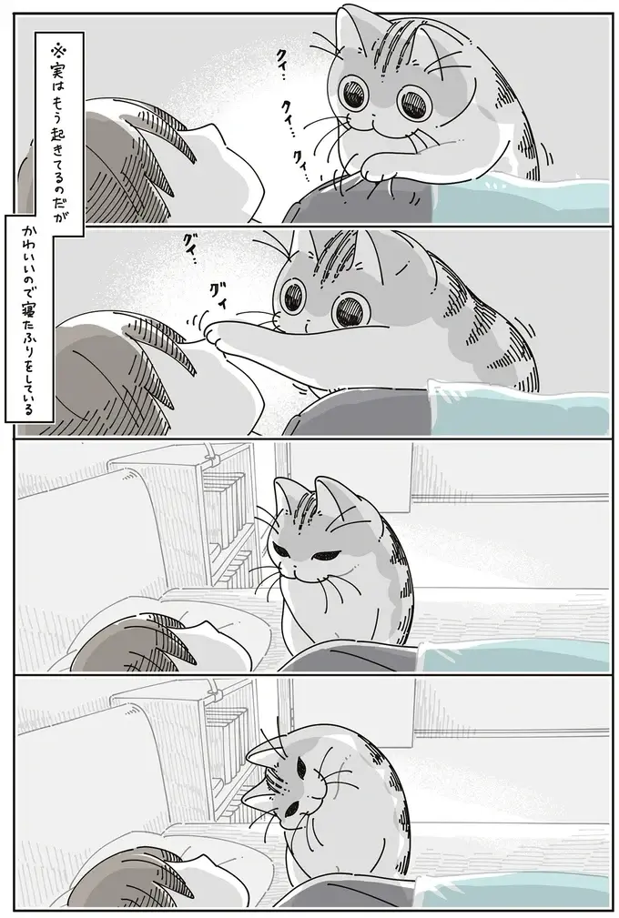 朝の猫。飼い主をトントン...可愛くて寝たふりを続けていたら...え？／夜は猫といっしょ8（4）