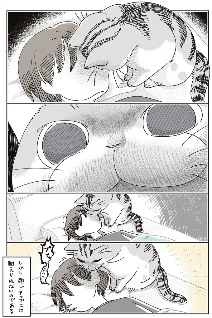 朝の猫。飼い主をトントン...可愛くて寝たふりを続けていたら...え？／夜は猫といっしょ8（5）