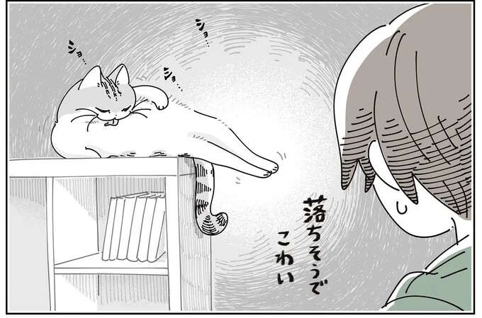 猫が落ちそうで怖い！ テレビ台の上で毛づくろいする姿を見守っていたら...／夜は猫といっしょ8（1）