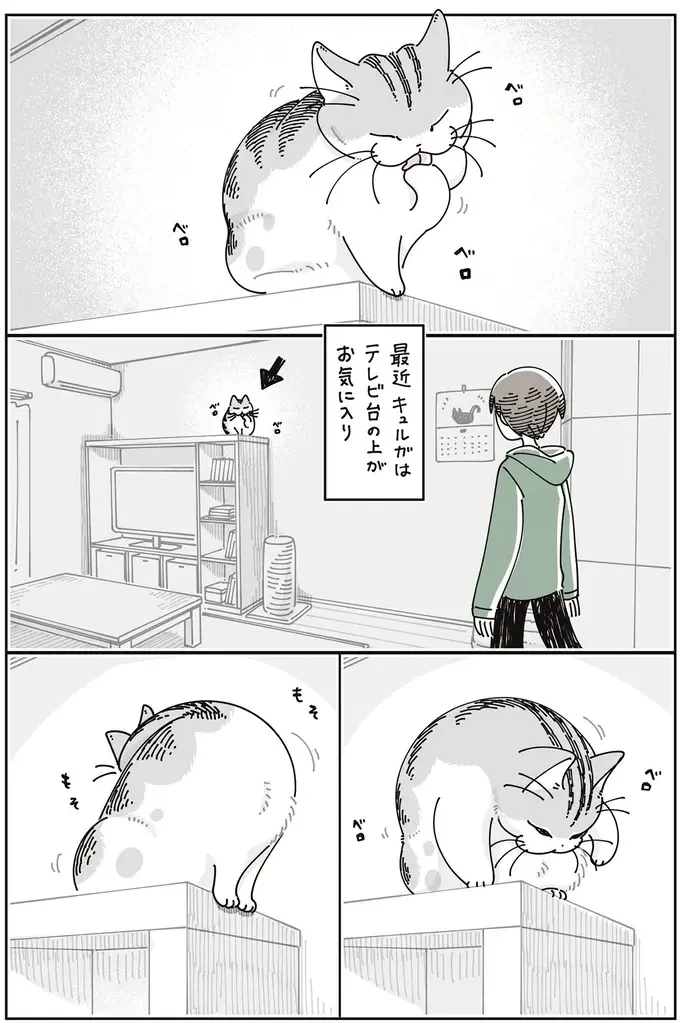 猫が落ちそうで怖い！ テレビ台の上で毛づくろいする姿を見守っていたら...／夜は猫といっしょ8（3）