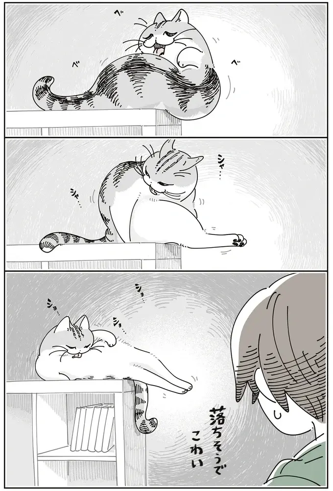 猫が落ちそうで怖い！ テレビ台の上で毛づくろいする姿を見守っていたら...／夜は猫といっしょ8（4）