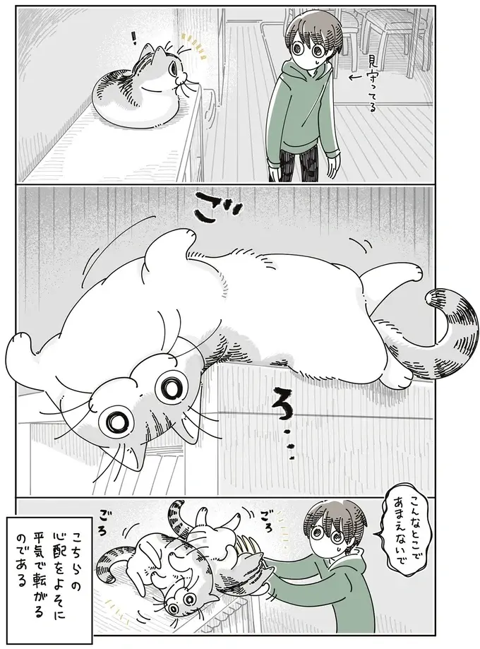 猫が落ちそうで怖い！ テレビ台の上で毛づくろいする姿を見守っていたら...／夜は猫といっしょ8（5）