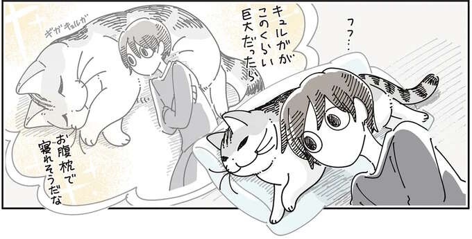 枕からどいてくれない猫。飼い主が頭を乗せて妄想したら...確かに！／夜は猫といっしょ8（1）
