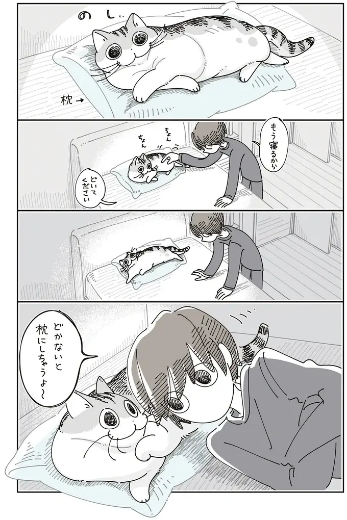 枕からどいてくれない猫。飼い主が頭を乗せて妄想したら...確かに！／夜は猫といっしょ8（3）