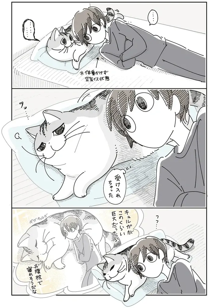 枕からどいてくれない猫。飼い主が頭を乗せて妄想したら...確かに！／夜は猫といっしょ8（4）