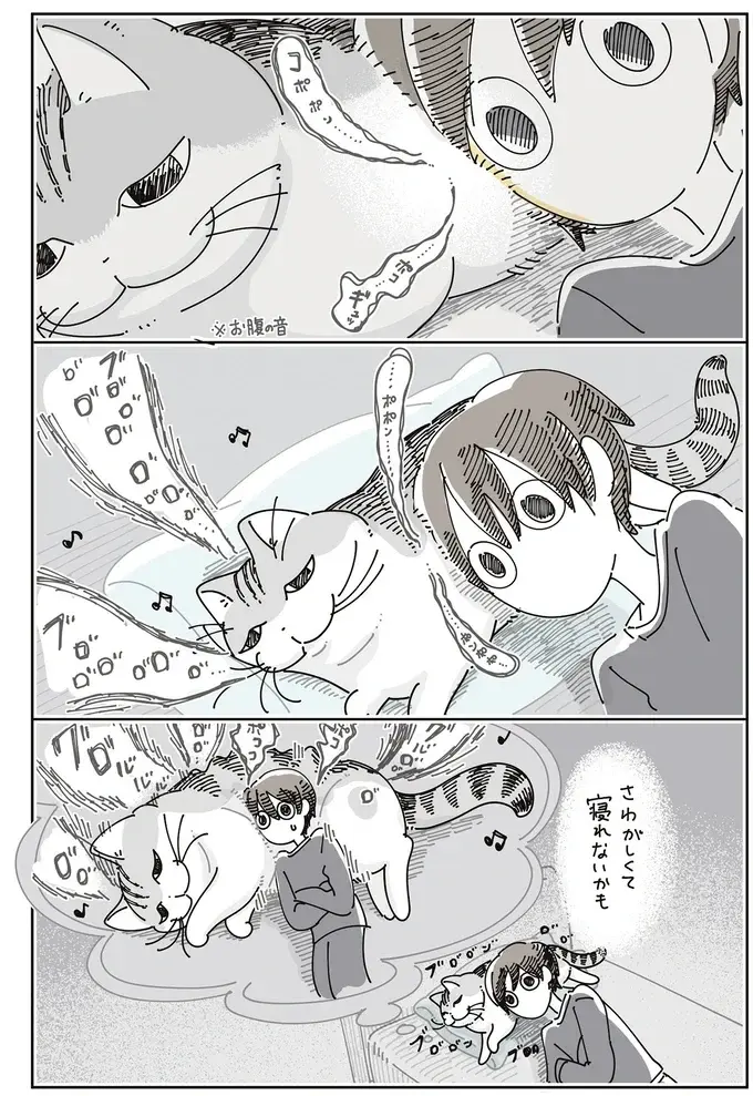 枕からどいてくれない猫。飼い主が頭を乗せて妄想したら...確かに！／夜は猫といっしょ8（5）