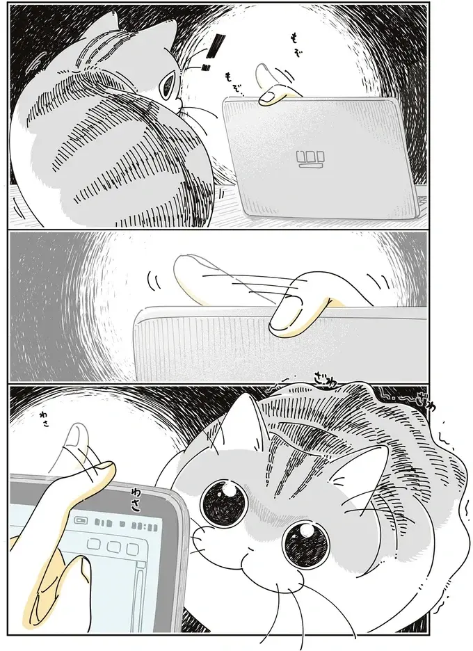 猫がそんな目を...。「興味を持ったものの正体」を見た瞬間、こんな顔に／夜は猫といっしょ8（3）