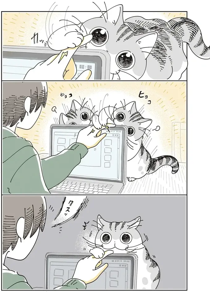猫がそんな目を...。「興味を持ったものの正体」を見た瞬間、こんな顔に／夜は猫といっしょ8（4）