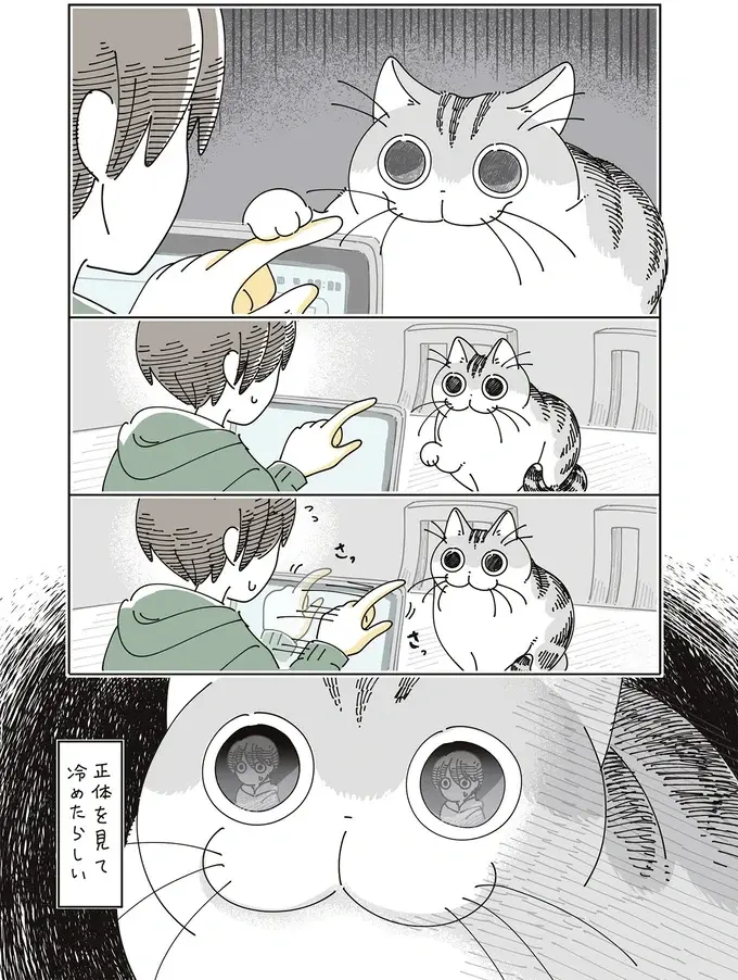猫がそんな目を...。「興味を持ったものの正体」を見た瞬間、こんな顔に／夜は猫といっしょ8（5）