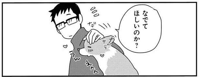 「太ったな」ワンコと暮らして身に付く特技。ボディタッチと抱っこで...／あしょんでよッ9（1）