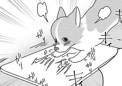 「マジでやめろ」愛犬コーギーが夢中になったこと。これは耐えられない...／あしょんでよッ9（1）