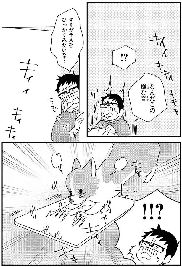「マジでやめろ」愛犬コーギーが夢中になったこと。これは耐えられない...／あしょんでよッ9（3）
