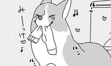 なぜそれを!? 「ワンコのお気に入り」に振り回される飼い主／あしょんでよッ9（1）
