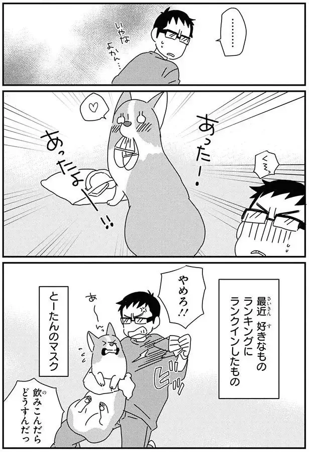 なぜそれを!? 「ワンコのお気に入り」に振り回される飼い主／あしょんでよッ9（5）