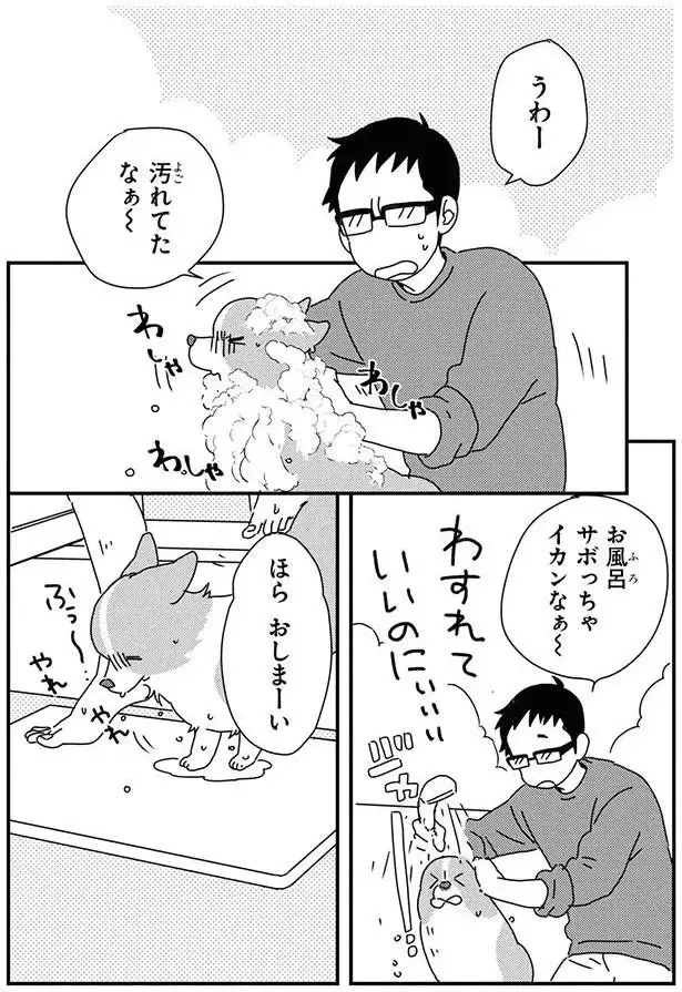 愛犬のシャンプーから爪切りまでくまなくケア。これって飼い主じゃなく召使い？／あしょんでよッ9（2）