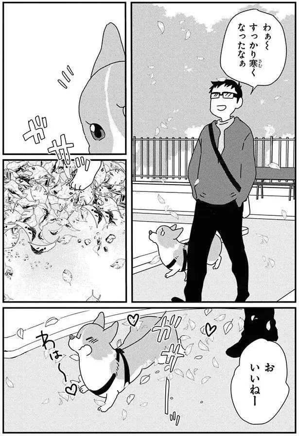 公園ではしゃいだ愛犬コーギー。家に帰ったら...ああ／あしょんでよッ9（2）