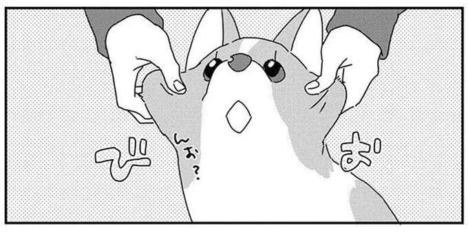 鼻息が顔に...くすぐったいけど愛犬との添い寝はやめられない！／あしょんでよッ9（1）