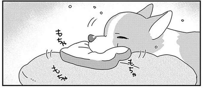愛犬のおもちゃを洗いたい。飼い主の頭脳プレイで勝利！ ...のはずが!?／あしょんでよッ10（1）