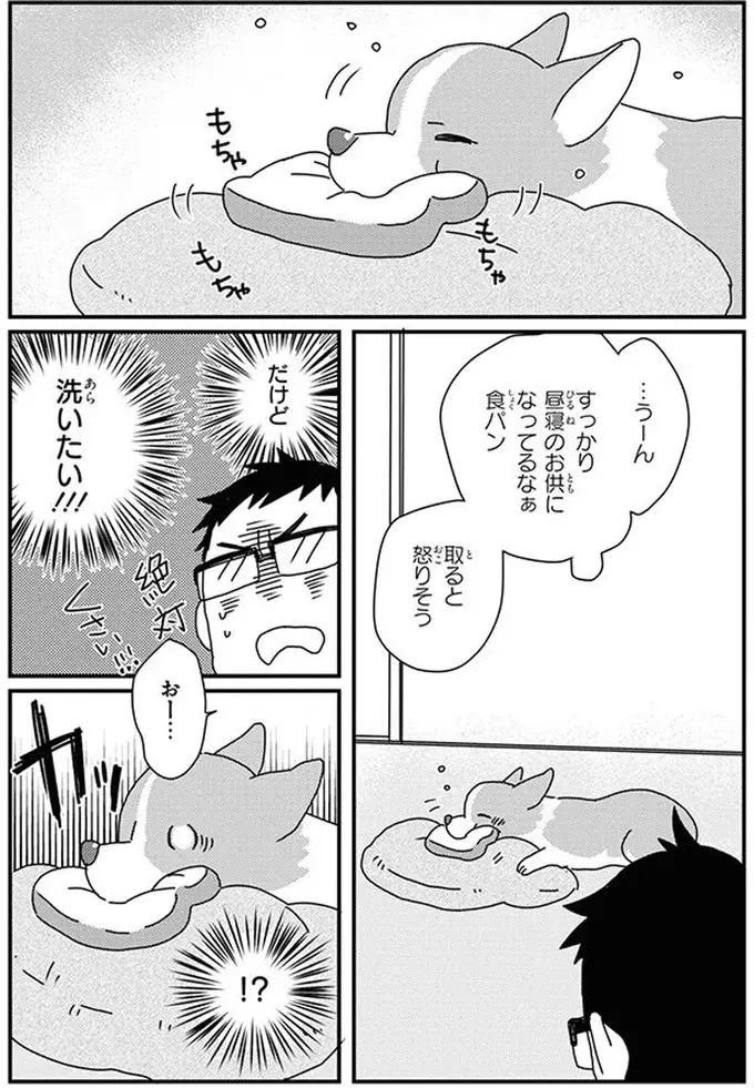 愛犬のおもちゃを洗いたい。飼い主の頭脳プレイで勝利！ ...のはずが!?／あしょんでよッ10（2）