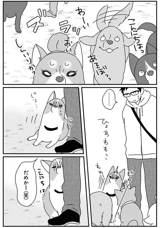 「犬見知り」な愛犬とドッグラン。よそのワンコに懐かれた飼い主は...／あしょんでよッ10（7）