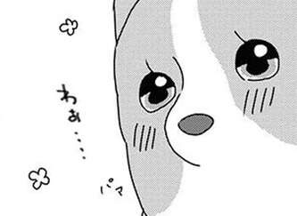 「愛しい...」愛犬の一人遊び、ついつい見守ってしまって／あしょんでよッ10（1）