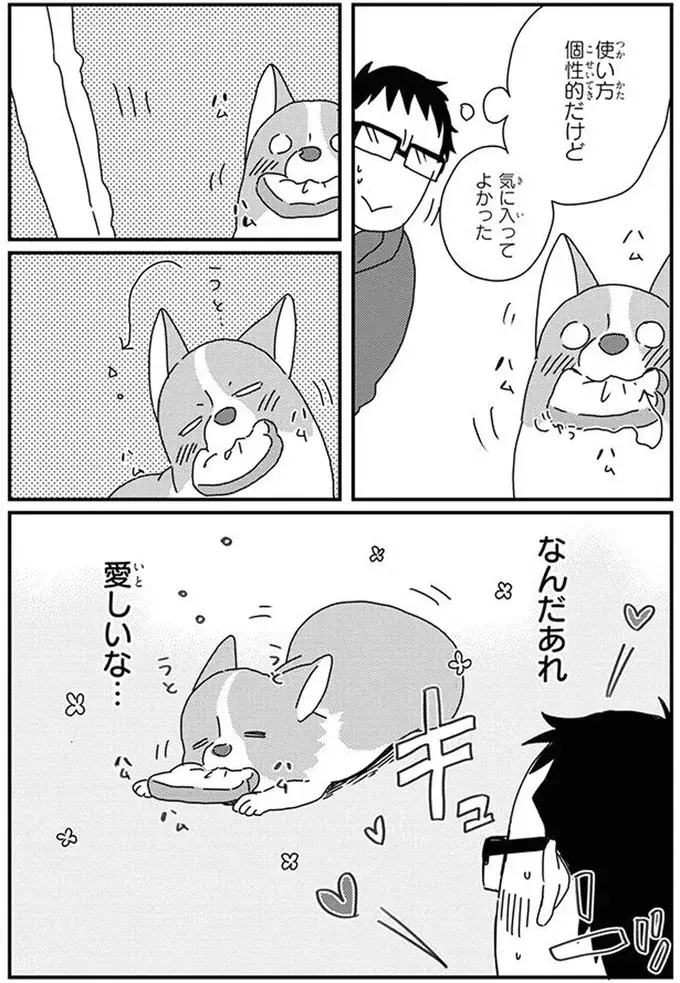 「愛しい...」愛犬の一人遊び、ついつい見守ってしまって／あしょんでよッ10（5）