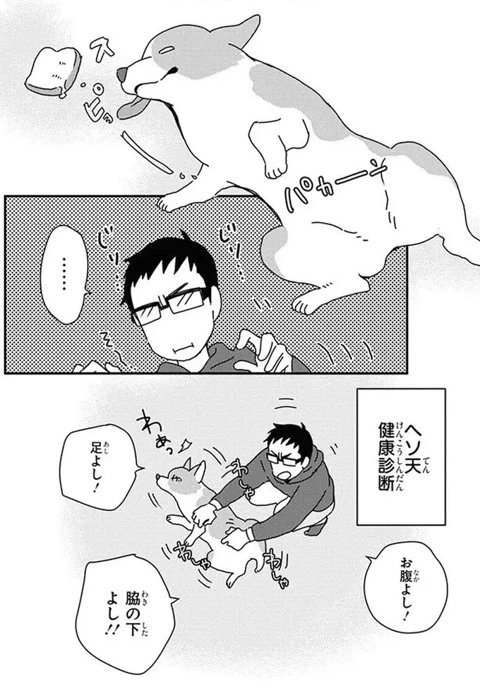 「愛しい...」愛犬の一人遊び、ついつい見守ってしまって／あしょんでよッ10（6）