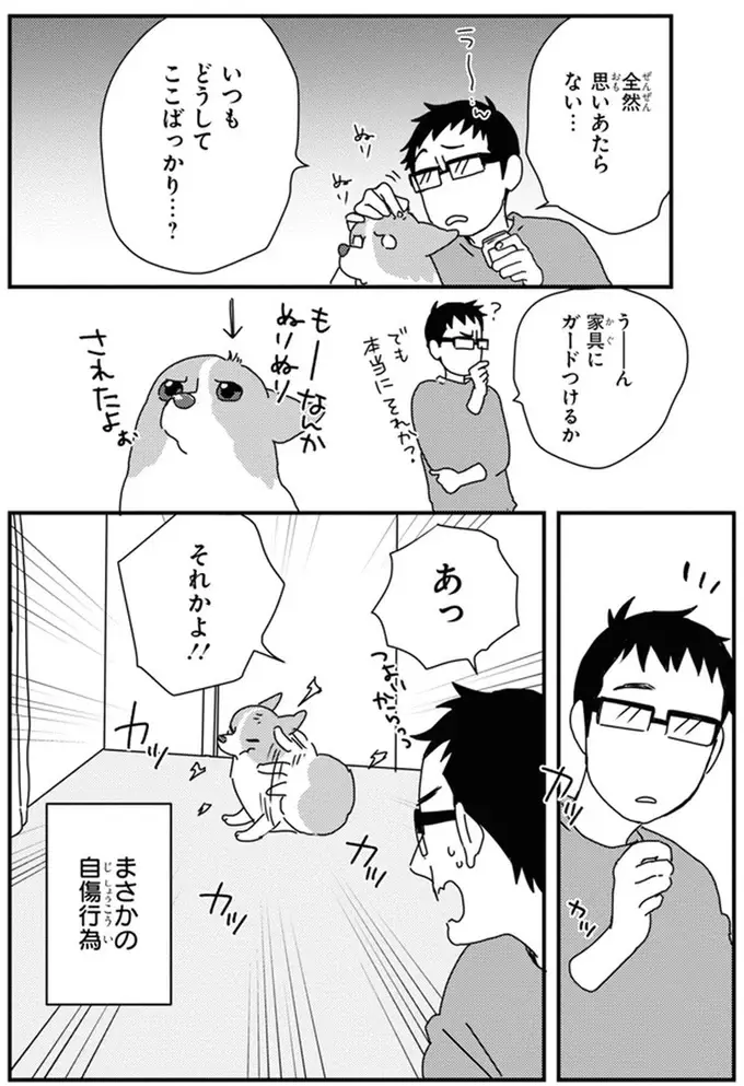 リモコンが...愛犬の抜け毛の時期に起きがちなトラブル／あしょんでよッ10（3）