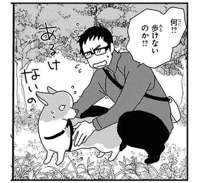 いちゃいの...ワンコを歩けなくする「トラップ」。警戒が止まらなくて...／あしょんでよッ10（1）