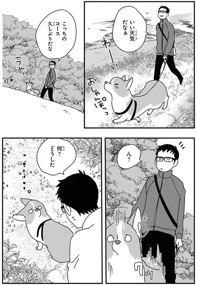 いちゃいの...ワンコを歩けなくする「トラップ」。警戒が止まらなくて...／あしょんでよッ10（2）