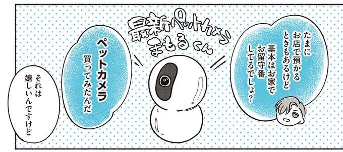 バイトくんの不在時、ペンギンたちは部屋で何してる？ 見守りカメラをつけてみた／ペンギン喫茶は今日も青天3（1）