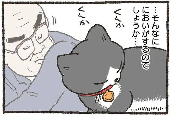 『ねこに転生したおじさん 6』（1）