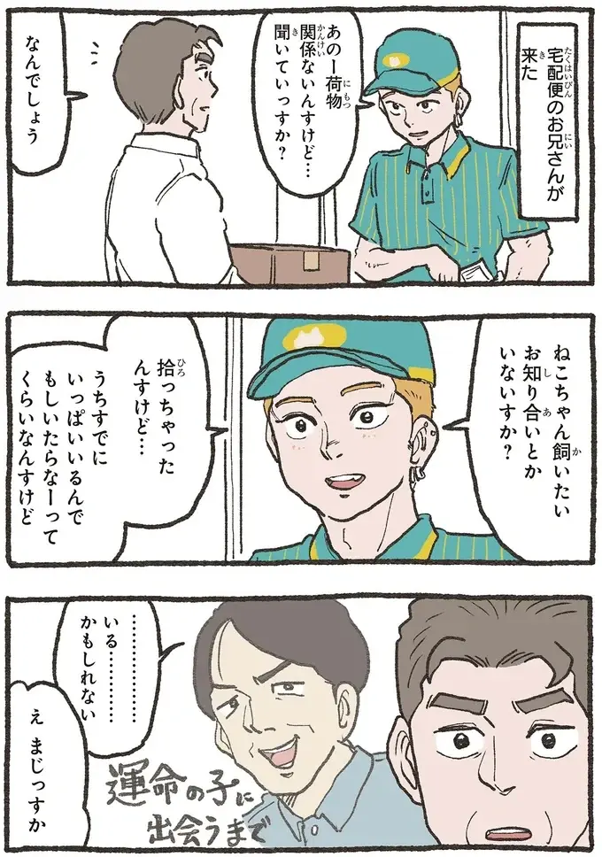 『ねこに転生したおじさん 6』（6）