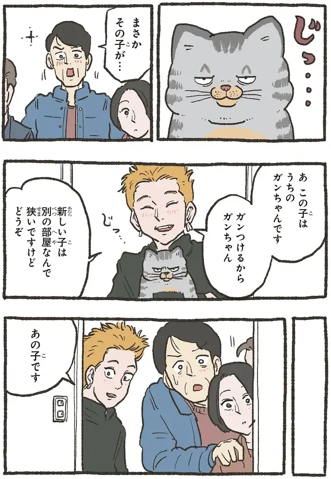 『ねこに転生したおじさん 6』（12）