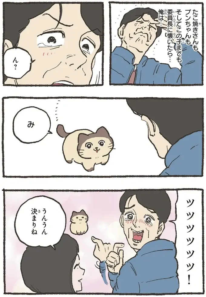 『ねこに転生したおじさん 6』（17）
