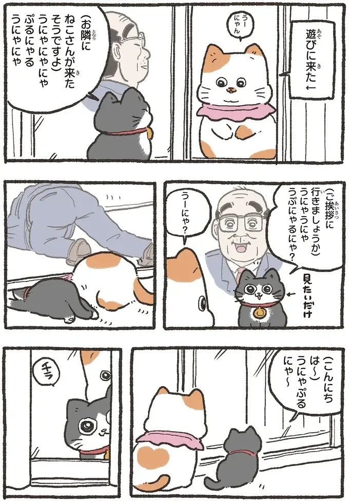 『ねこに転生したおじさん 6』（18）