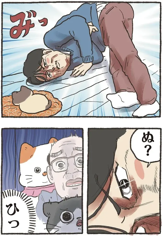 『ねこに転生したおじさん 6』（19）