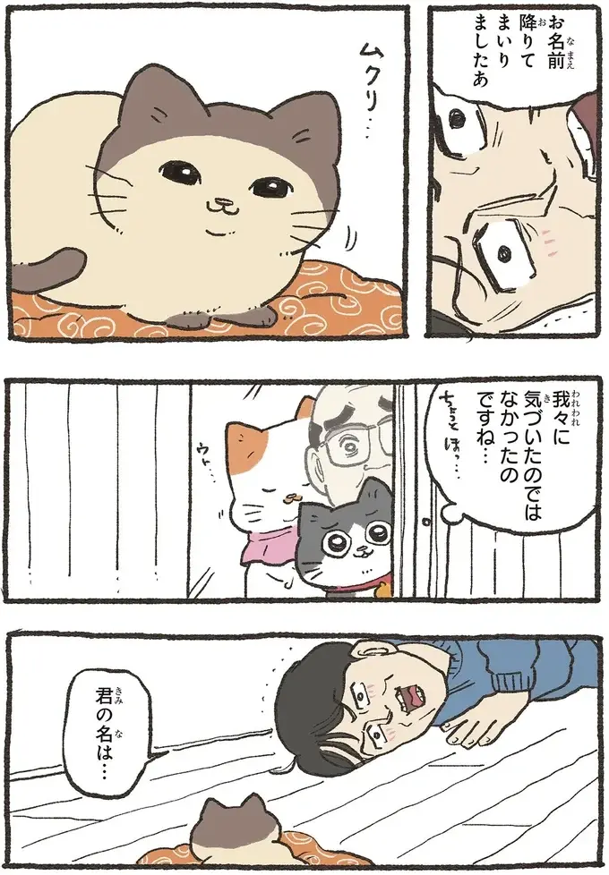 『ねこに転生したおじさん 6』（20）