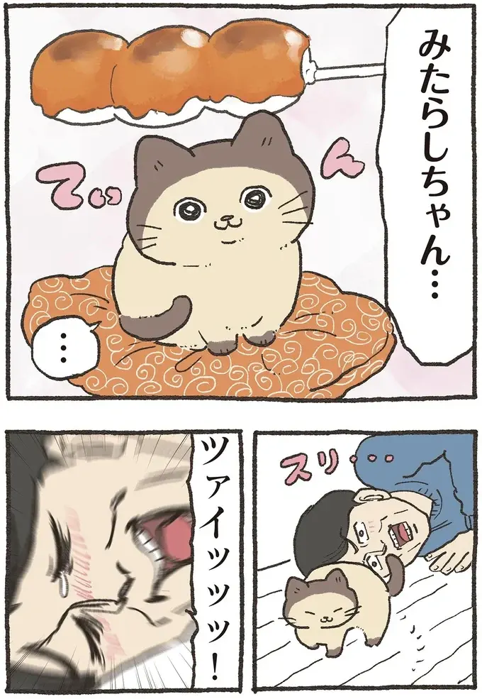 『ねこに転生したおじさん 6』（21）