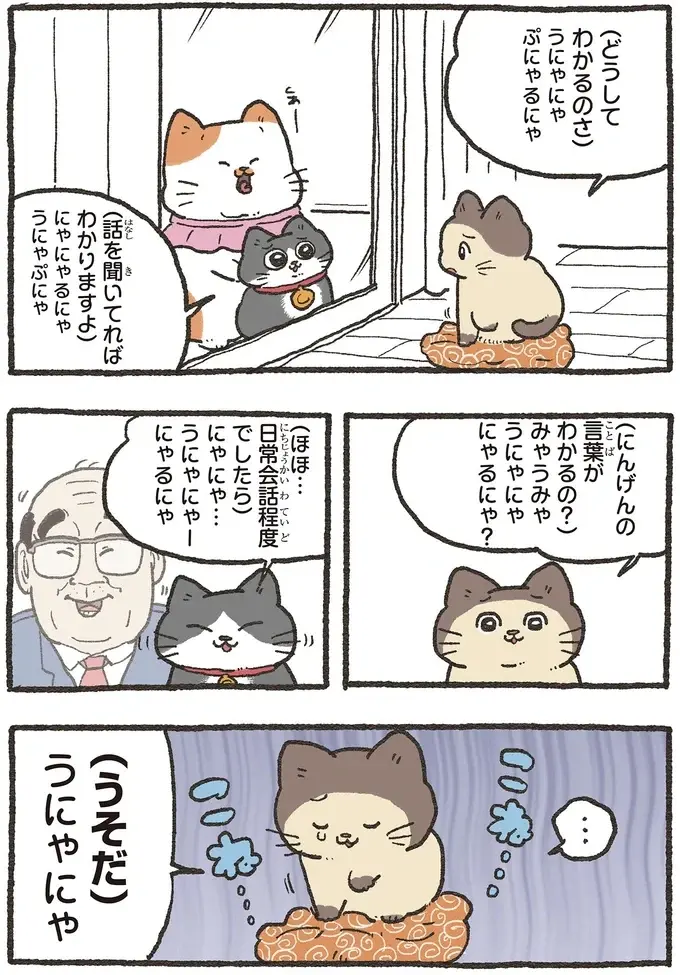 『ねこに転生したおじさん 6』（24）