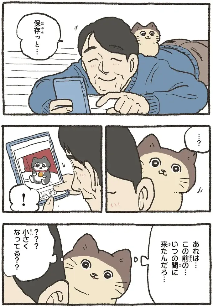 『ねこに転生したおじさん 6』（31）