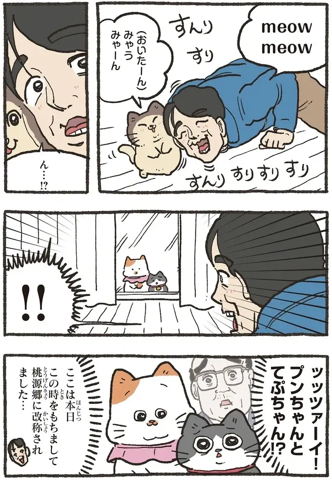 『ねこに転生したおじさん 6』（40）