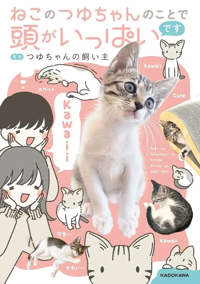 『ねこのつゆちゃんのことで頭がいっぱいです』（2）