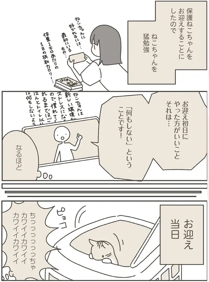 『ねこのつゆちゃんのことで頭がいっぱいです』（3）