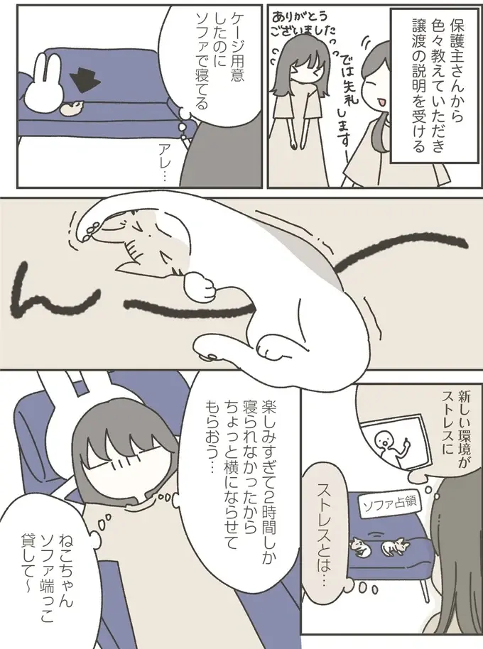 『ねこのつゆちゃんのことで頭がいっぱいです』（4）