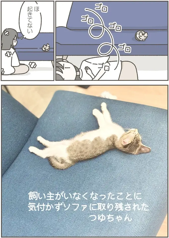 『ねこのつゆちゃんのことで頭がいっぱいです』（10）
